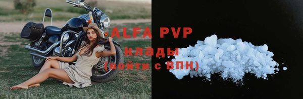 PSILOCYBIN Бородино