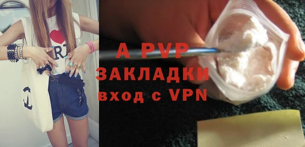 PSILOCYBIN Бородино