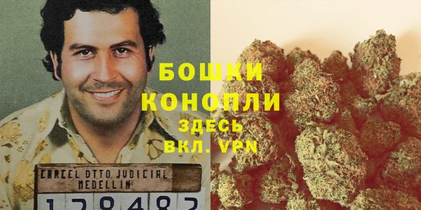 PSILOCYBIN Бородино