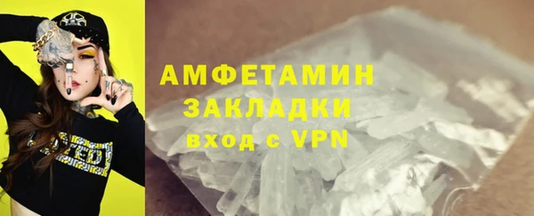 PSILOCYBIN Бородино