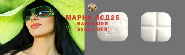 PSILOCYBIN Бородино