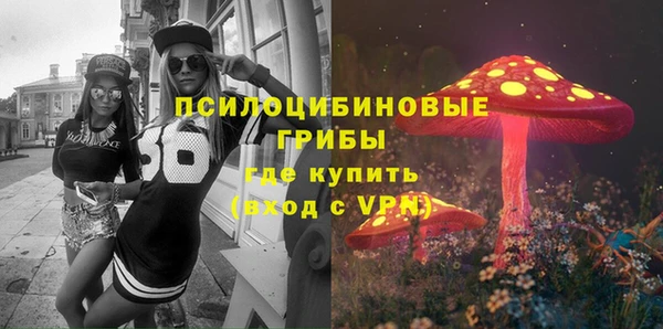 apvp Бугульма
