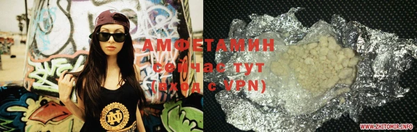 PSILOCYBIN Бородино