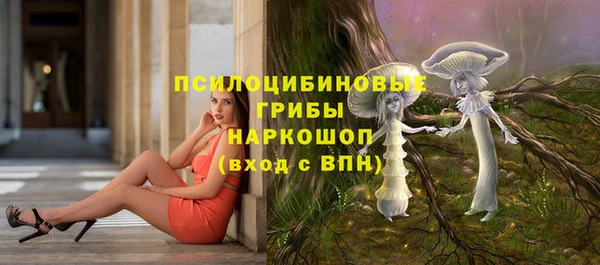 PSILOCYBIN Бородино