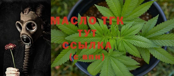 PSILOCYBIN Бородино