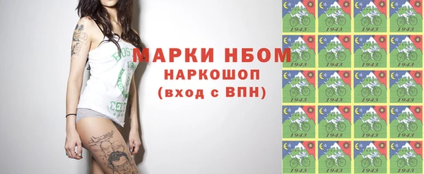 PSILOCYBIN Бородино