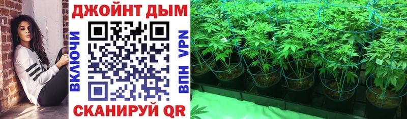 Каннабис Ganja  Купить закладки  Бородино 